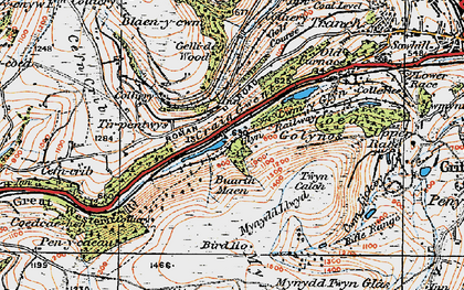 Old map of Tir-pentwys in 1919