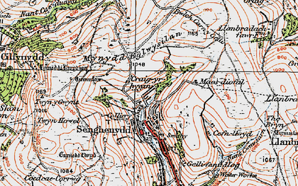 Old map of Parc Mawr in 1919