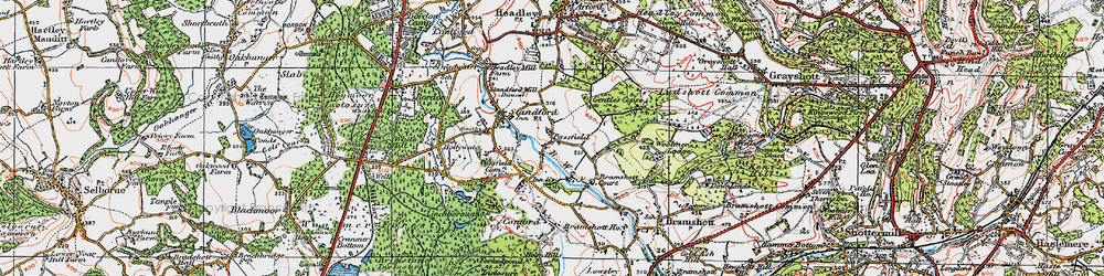Old map of Passfield in 1919