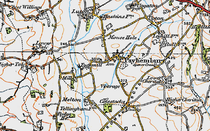 Old map of Payhembury in 1919