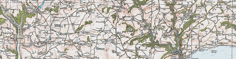 Old map of Pelynt in 1919