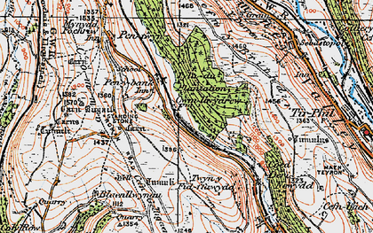 Old map of Twyn y Fidffawydd in 1919