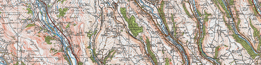 Old map of Twyn y Fidffawydd in 1919