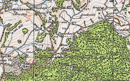 Old map of Buckwell in 1919