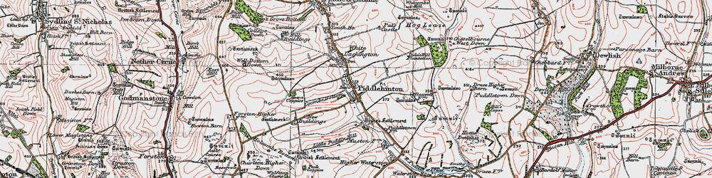 Old map of Piddlehinton in 1919