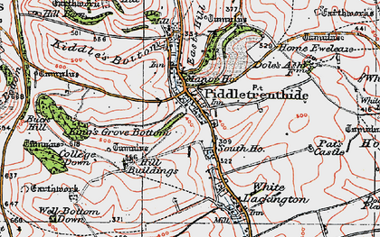 Old map of Piddletrenthide in 1919