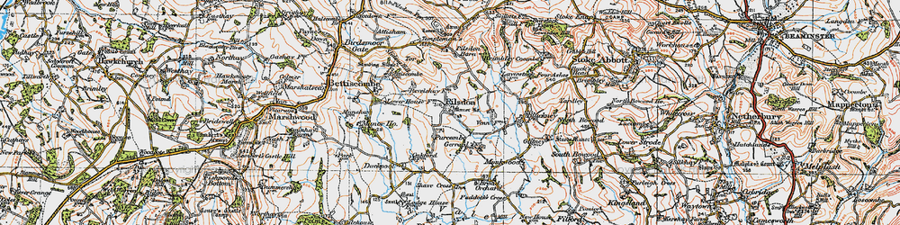 Old map of Pilsdon in 1919