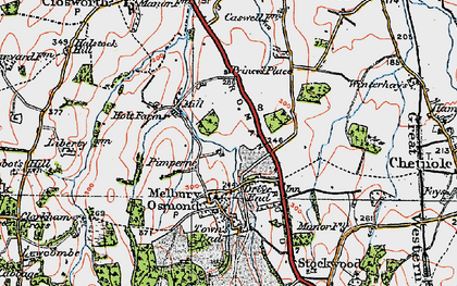 Old map of Pimperne in 1919