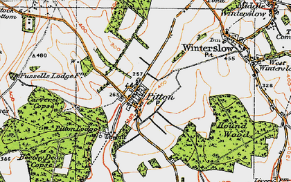 Old map of Pitton in 1919