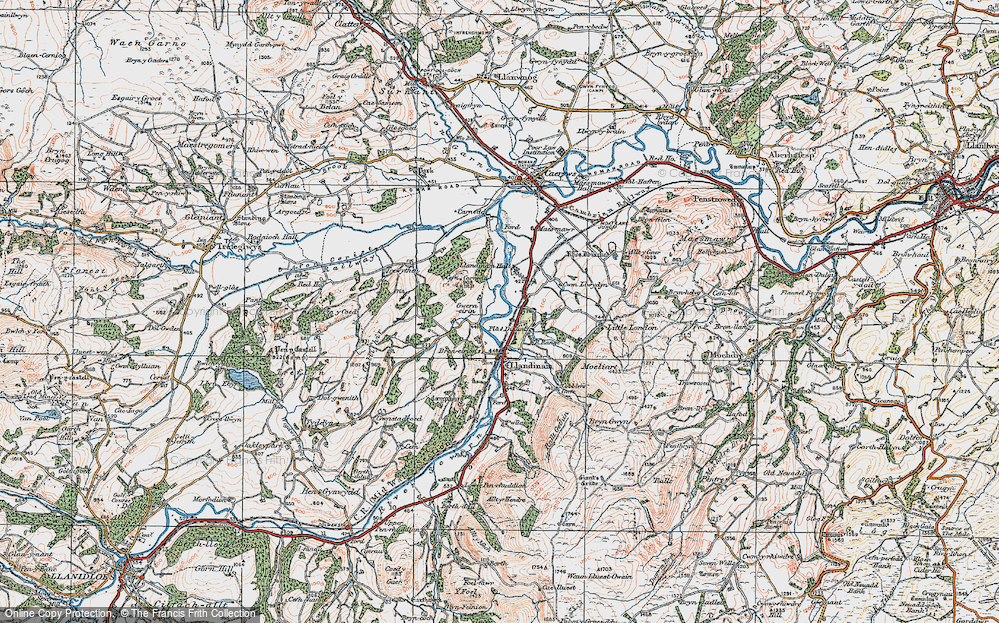 Old Map of Plas Dinam, 1921 in 1921