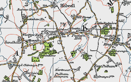 Old map of Pleck in 1919