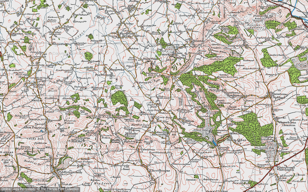 Old Map of Pleck, 1919 in 1919