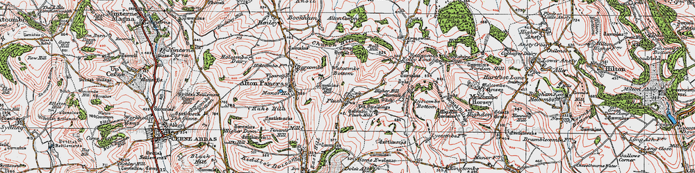Old map of Plush in 1919