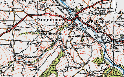 Old map of Polmorla in 1919