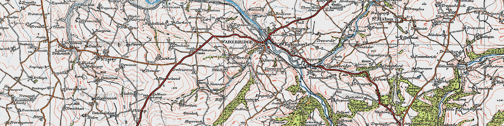 Old map of Polmorla in 1919