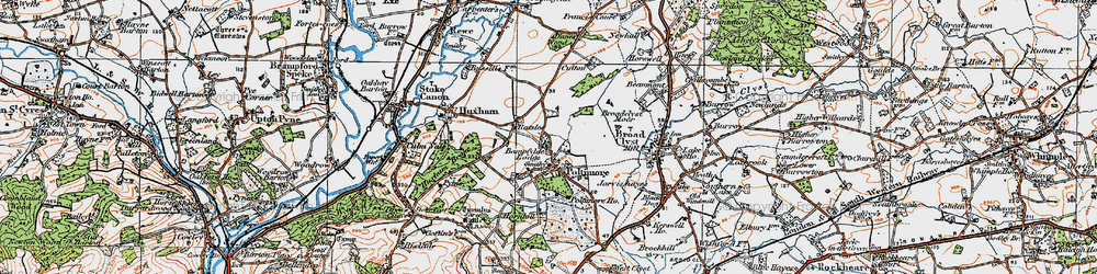 Old map of Poltimore in 1919