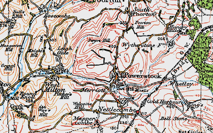 Old map of Powerstock in 1919