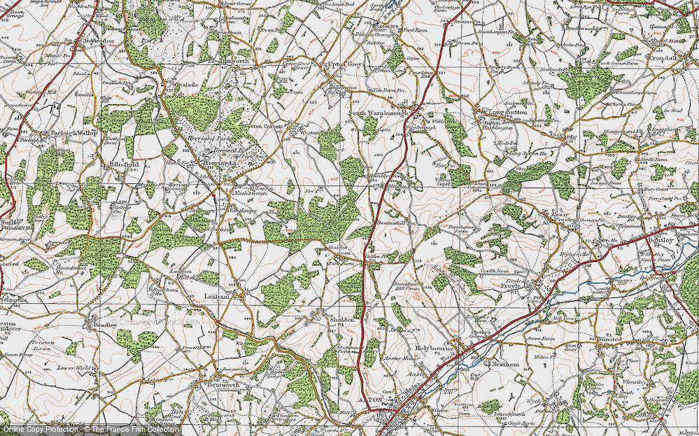 Old Map of Powntley Copse, 1919 in 1919