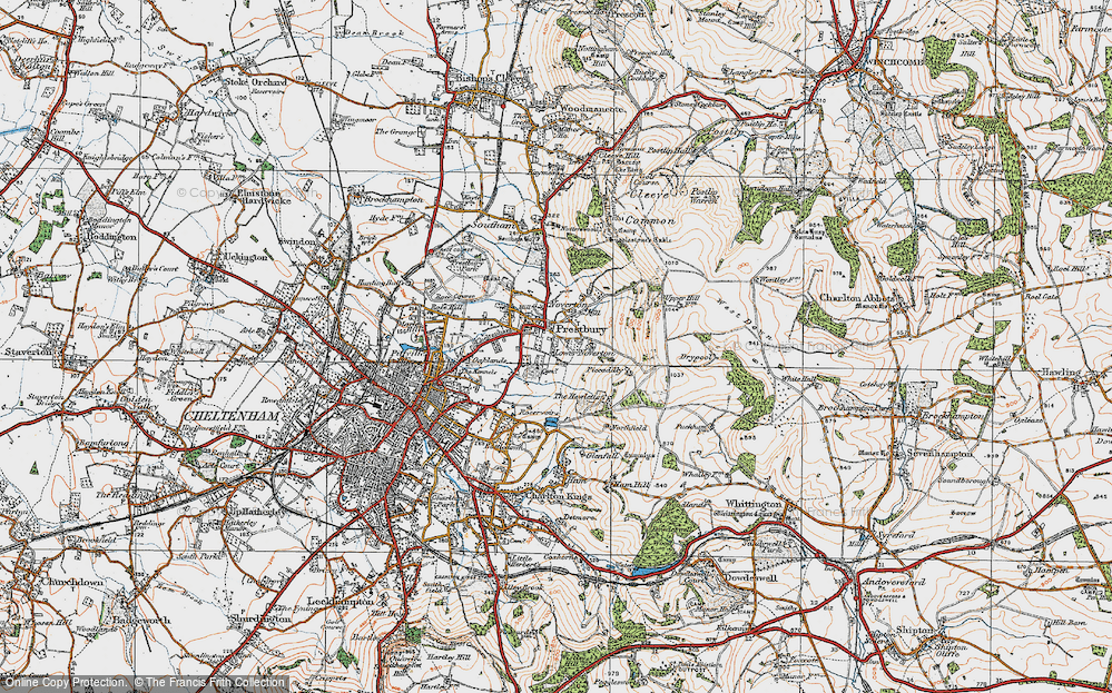 Historic Ordnance Survey Map of Prestbury, 1919