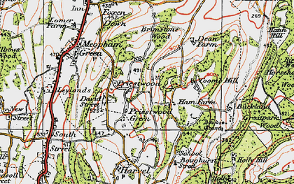 Old map of Priestwood Green in 1920