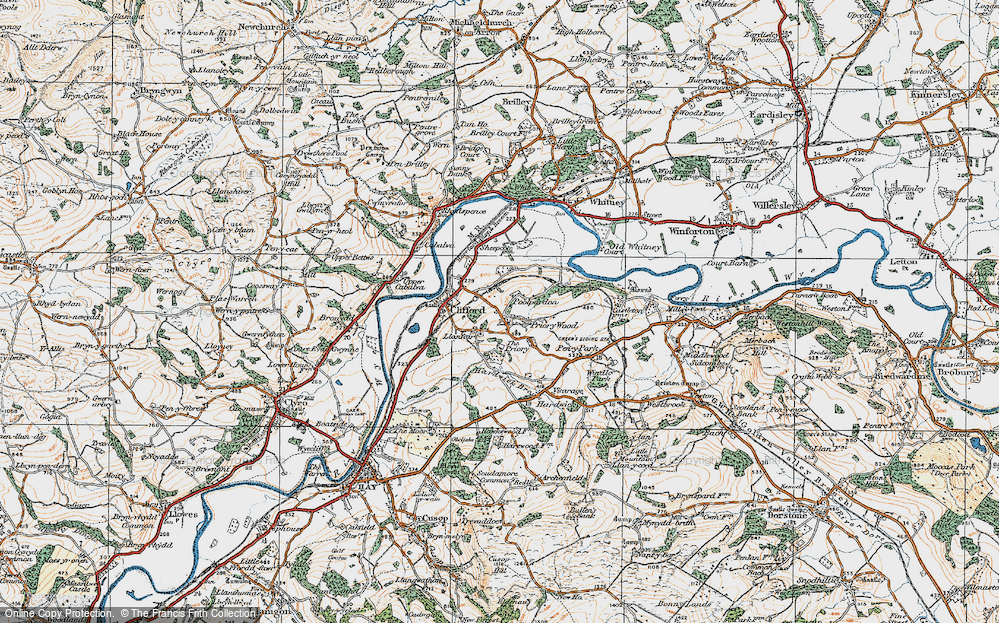 Old Map of Priory Wood, 1919 in 1919
