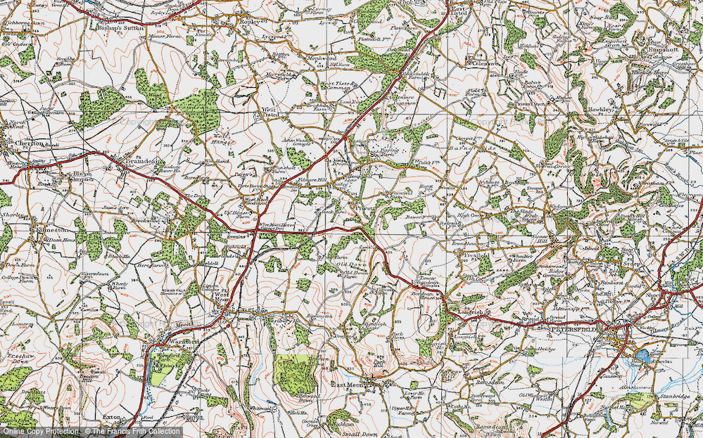 Old Map of Privett, 1919 in 1919