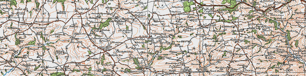 Old map of Puddington in 1919