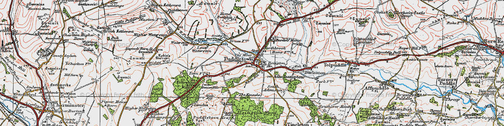 Old map of Puddletown in 1919