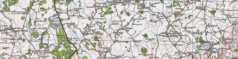 Old map of Pulham in 1919