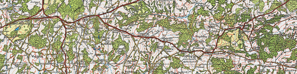Old map of Bingletts Wood in 1920
