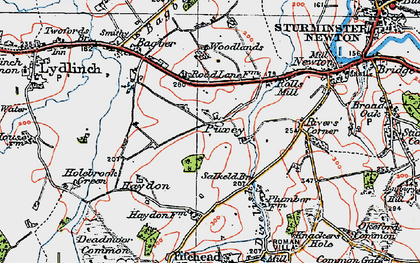 Old map of Puxey in 1919