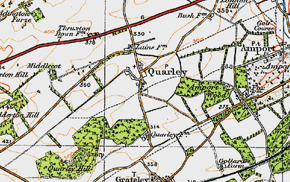Old map of Amport Wood in 1919