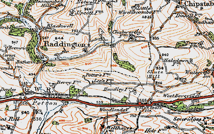 Old map of Raddington in 1919