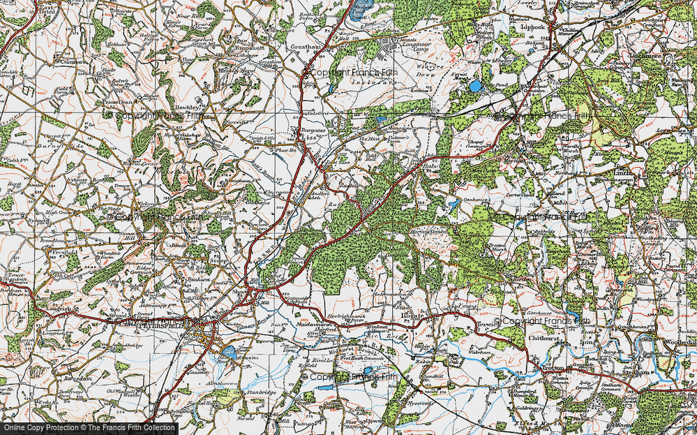 Old Map of Historic Map covering Durford Wood in 1919