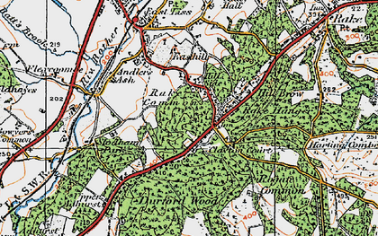 Old map of Durford Wood in 1919