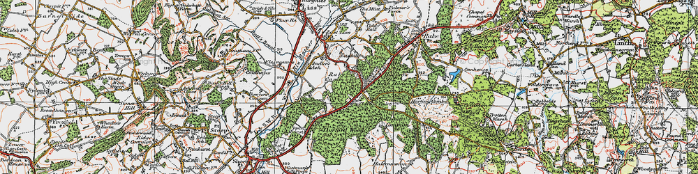 Old map of Rake Common in 1919