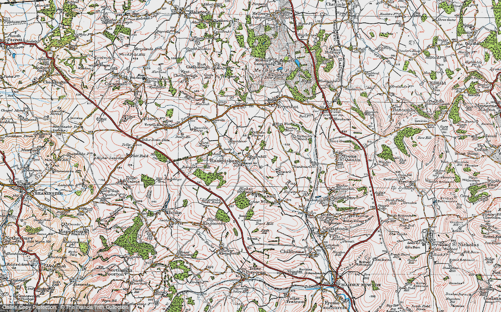 Old Map of Rampisham, 1919 in 1919