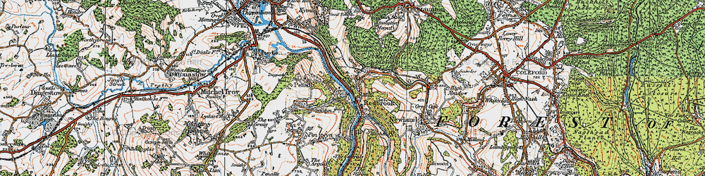 Old map of Bunjups Wood in 1919