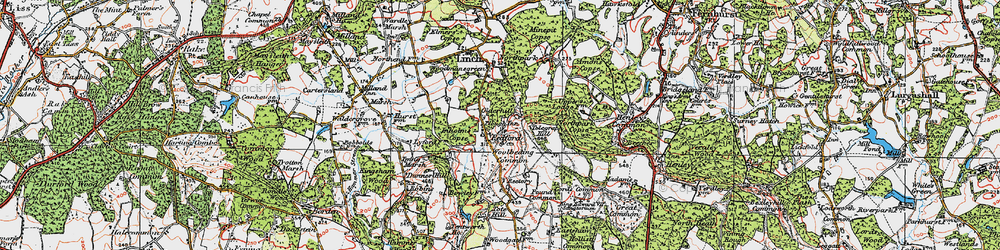 Old map of Woolbeding Common in 1919