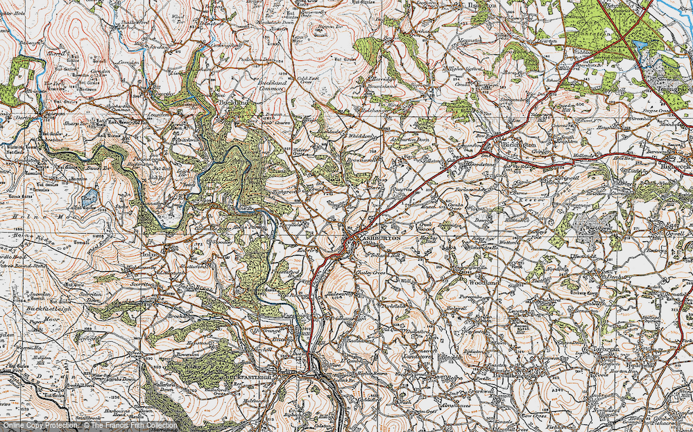 Old Map of Historic Map covering Boro Wood in 1919