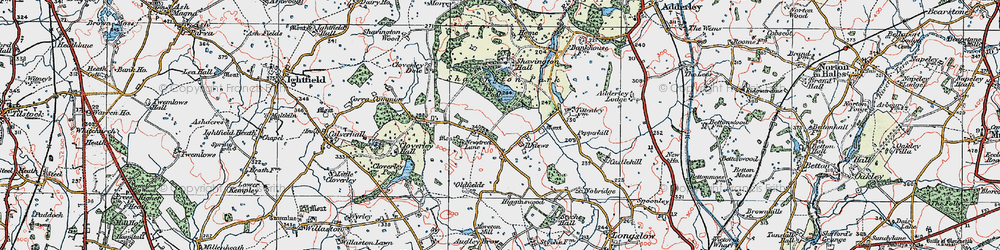 Old map of Shavington Park in 1921