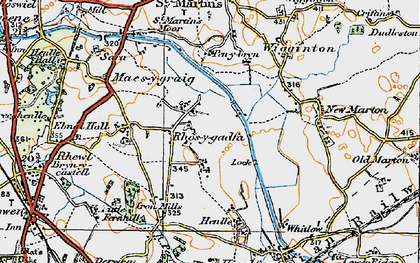 Old map of Rhosygadfa in 1921