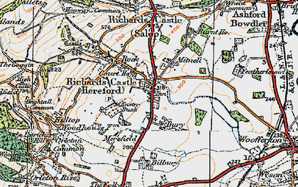 Old map of Richards Castle in 1920