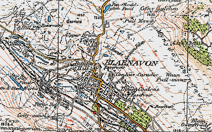 Old map of Rifle Green in 1919