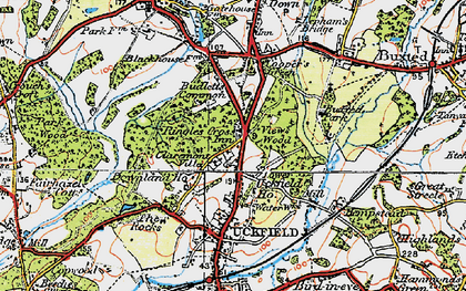 Old map of Buxted Park in 1920