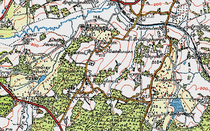 Old map of Riseden in 1920