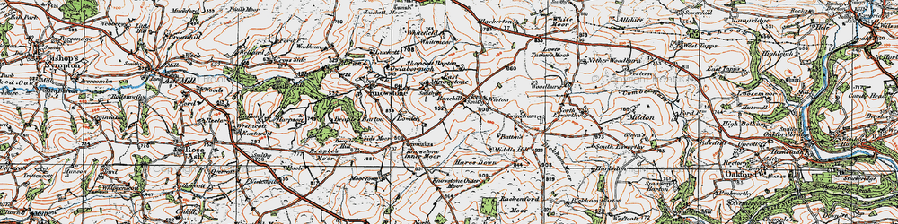 Old map of Bickham Moor in 1919