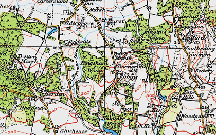Old map of Borden Wood in 1919