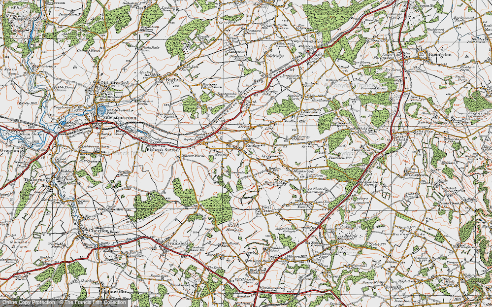 Old Map of Ropley, 1919 in 1919