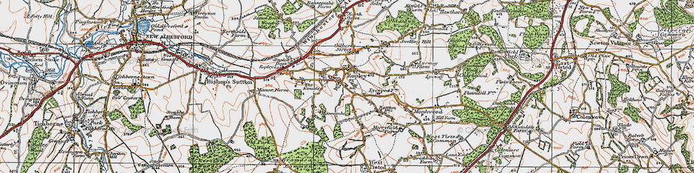 Old map of Ropley in 1919